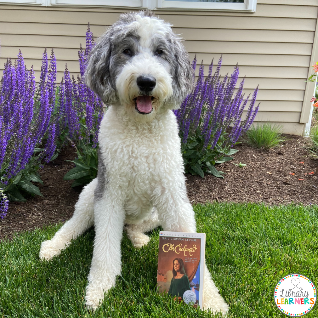 Dog named for Ella Enchanted with chapter book